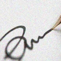 flash template default photo